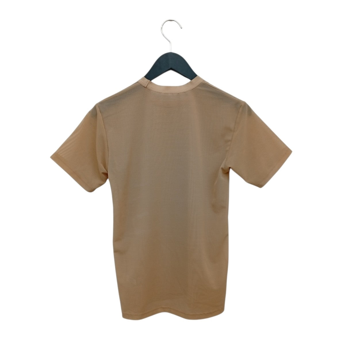 シアーカットソーTシャツ
