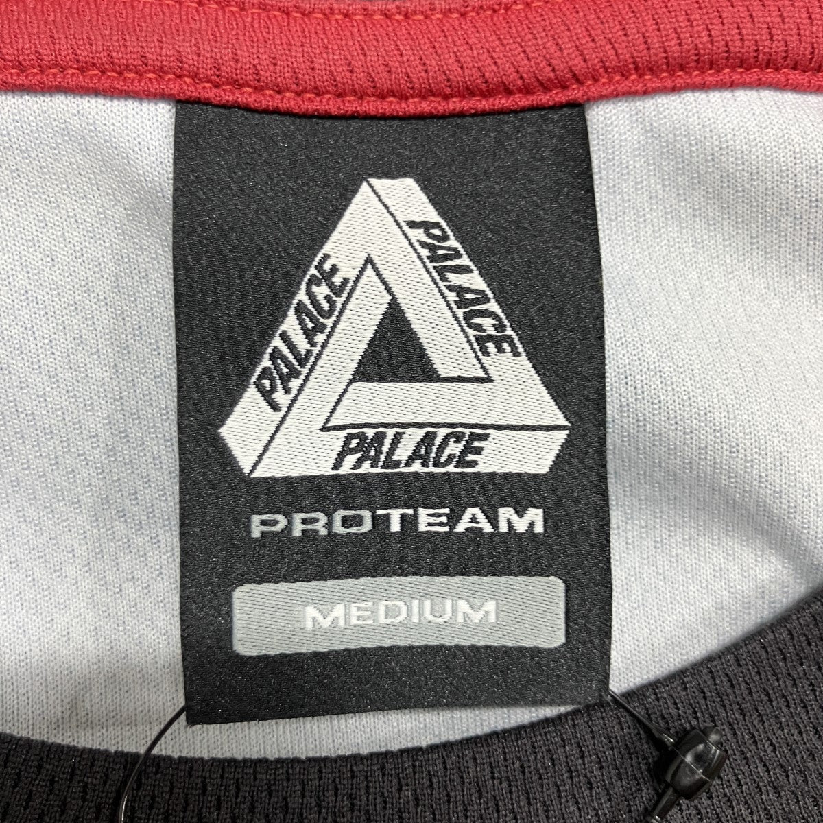 ドーベルマングラフィックTシャツ