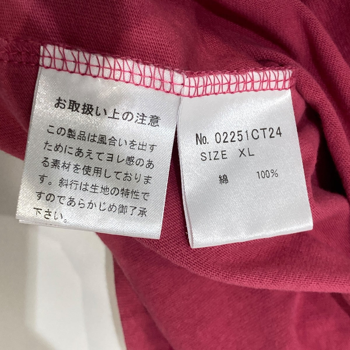 HYSTERIC SAVESTシャツ02251CT24