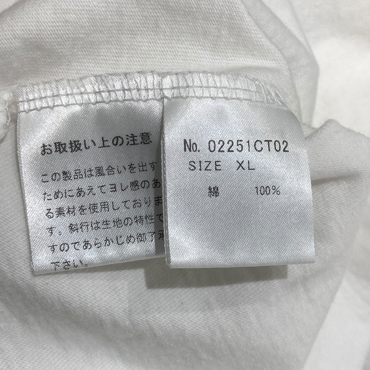 SMASH YOUR HEAD SBMTシャツ02251CT02