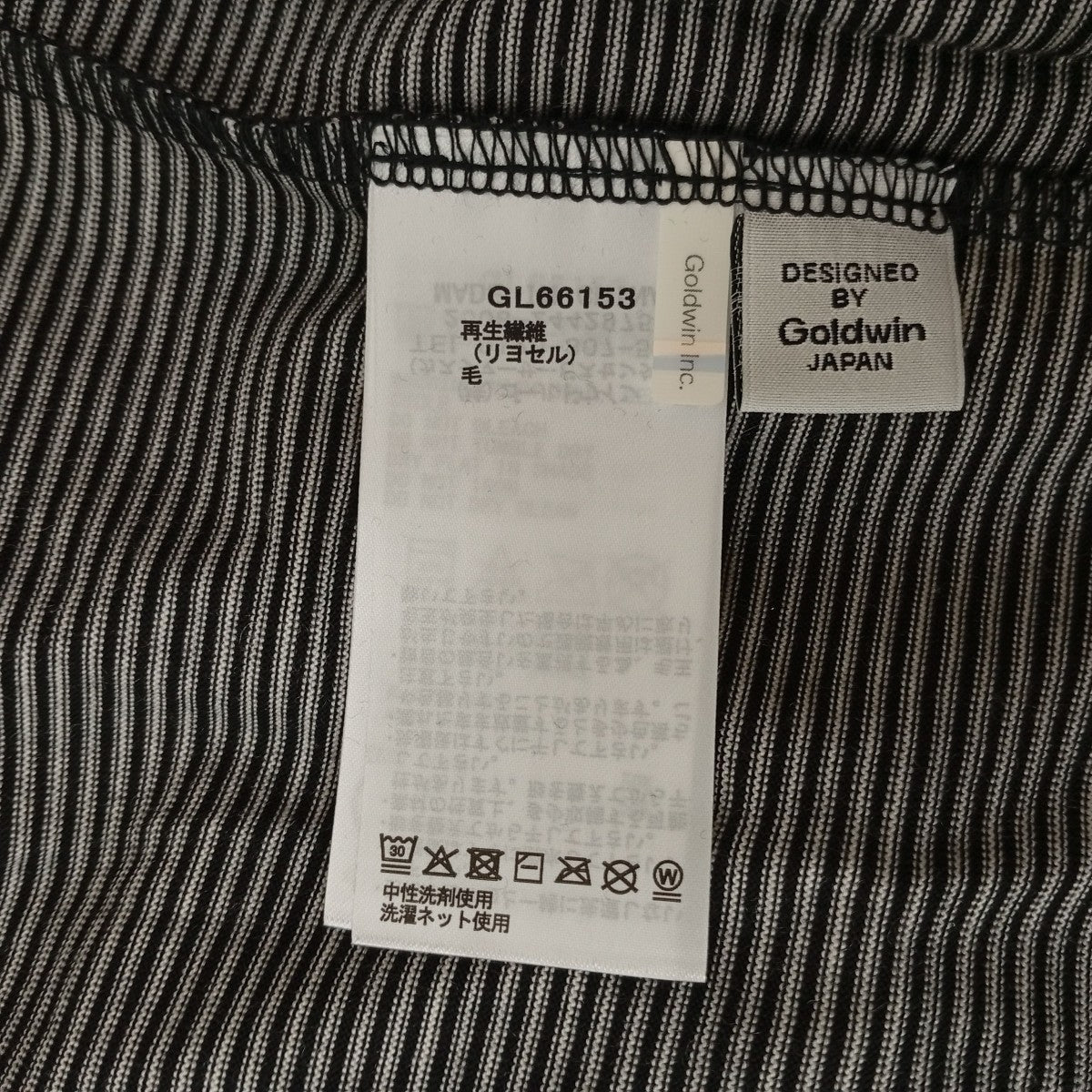 GOLDWIN ドウールリヨセルジャージーボーダーティーシャツGL66153 古着・中古-5枚目のアイテム画像