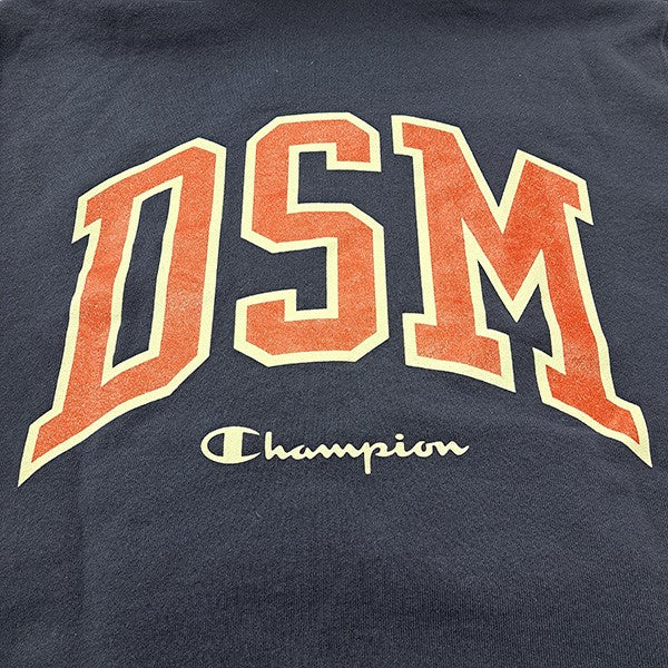 Champion×DOVER STREET MARKET 筆記体ロゴ刺繍バックプリントプル 