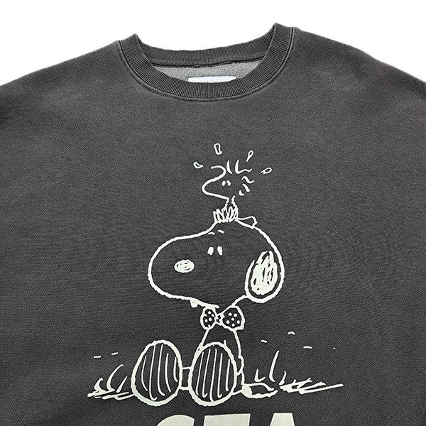 WIND AND SEA×PEANUTS Snoopy Pigment Crewneck SweatshirtスヌーピースウェットトレーナーWDS-C-SMT-26-Q1-CS-05 古着・中古-3枚目のアイテム画像