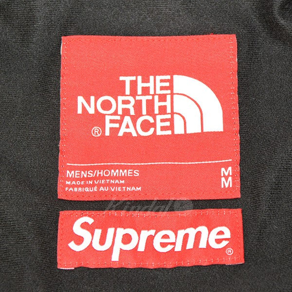 Supreme×THE NORTHFACE(シュプリーム×ノースフェイス) 19SS　Arc logo Mountain Parka　 マウンテンパーカー　ジャケット　ブルゾン