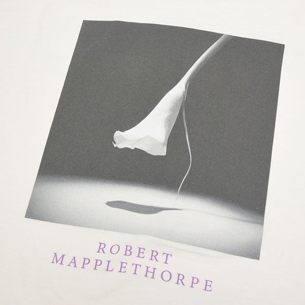 SAINT MICHAEL×Robert Mapplethorpe 2025SS MT SS TEE CALLA LILY USED加工プリントTシャツ SM-HR8-0000-C17 古着・中古-5枚目のアイテム画像