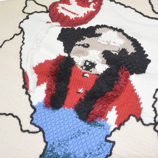 LOEWE 2021AW パピーインターシャセーター クルーネックニット H526Y14K81 古着・中古-4枚目のアイテム画像