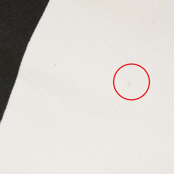 PRADA 2021SS グラフィックプリント オーバーサイズ フーディ プルオーバーパーカー スウェット 134628 S211 1YQR 古着・中古-7枚目のアイテム画像