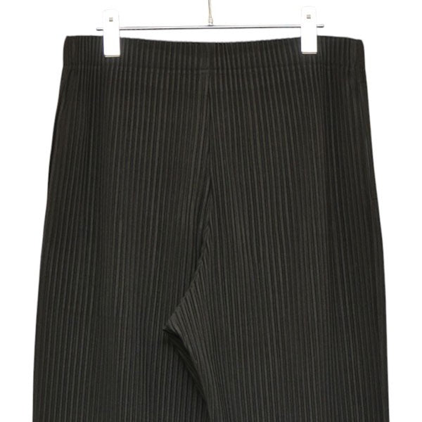 HOMME PLISSE ISSEY MIYAKE 2025SS MONTHLY COLOR MARCH プリーツストレートパンツ HP51JF114 古着・中古-4枚目のアイテム画像