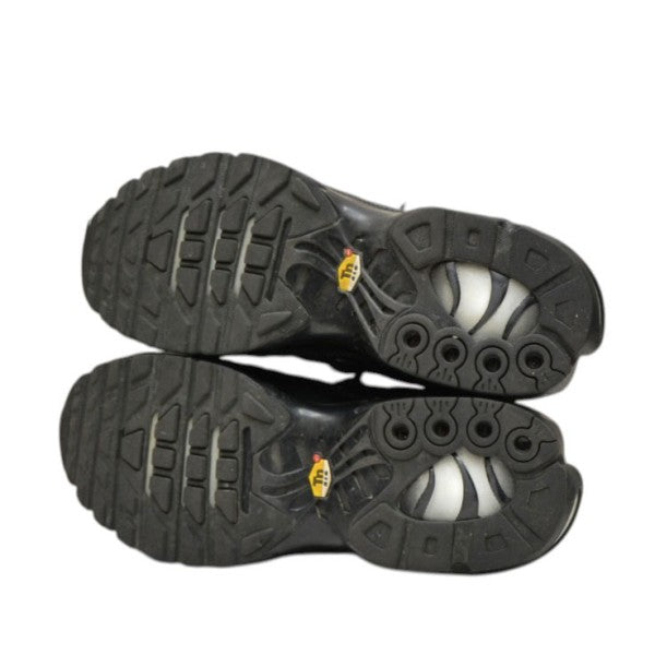 AIR MAX PLUS　スニーカー　エアマックス　604133-050