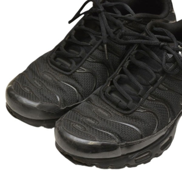 AIR MAX PLUS　スニーカー　エアマックス　604133-050