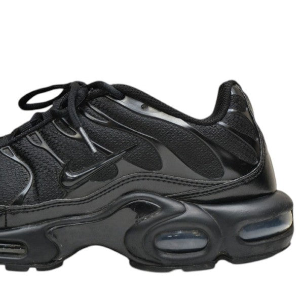 AIR MAX PLUS　スニーカー　エアマックス　604133-050