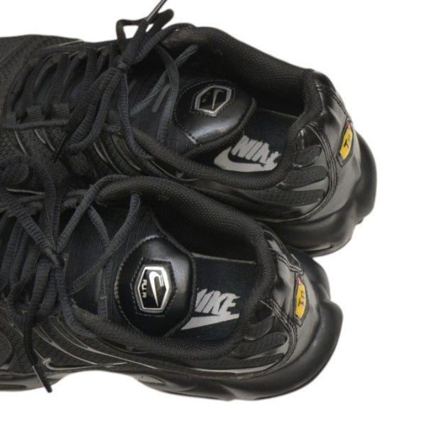 AIR MAX PLUS　スニーカー　エアマックス　604133-050