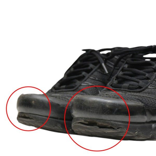 AIR MAX PLUS　スニーカー　エアマックス　604133-050