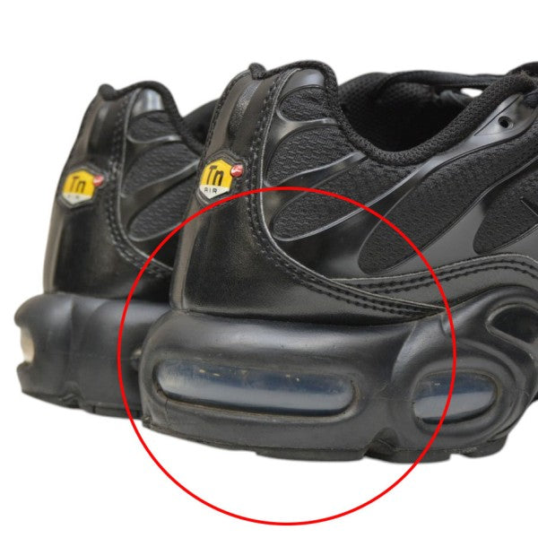 AIR MAX PLUS　スニーカー　エアマックス　604133-050