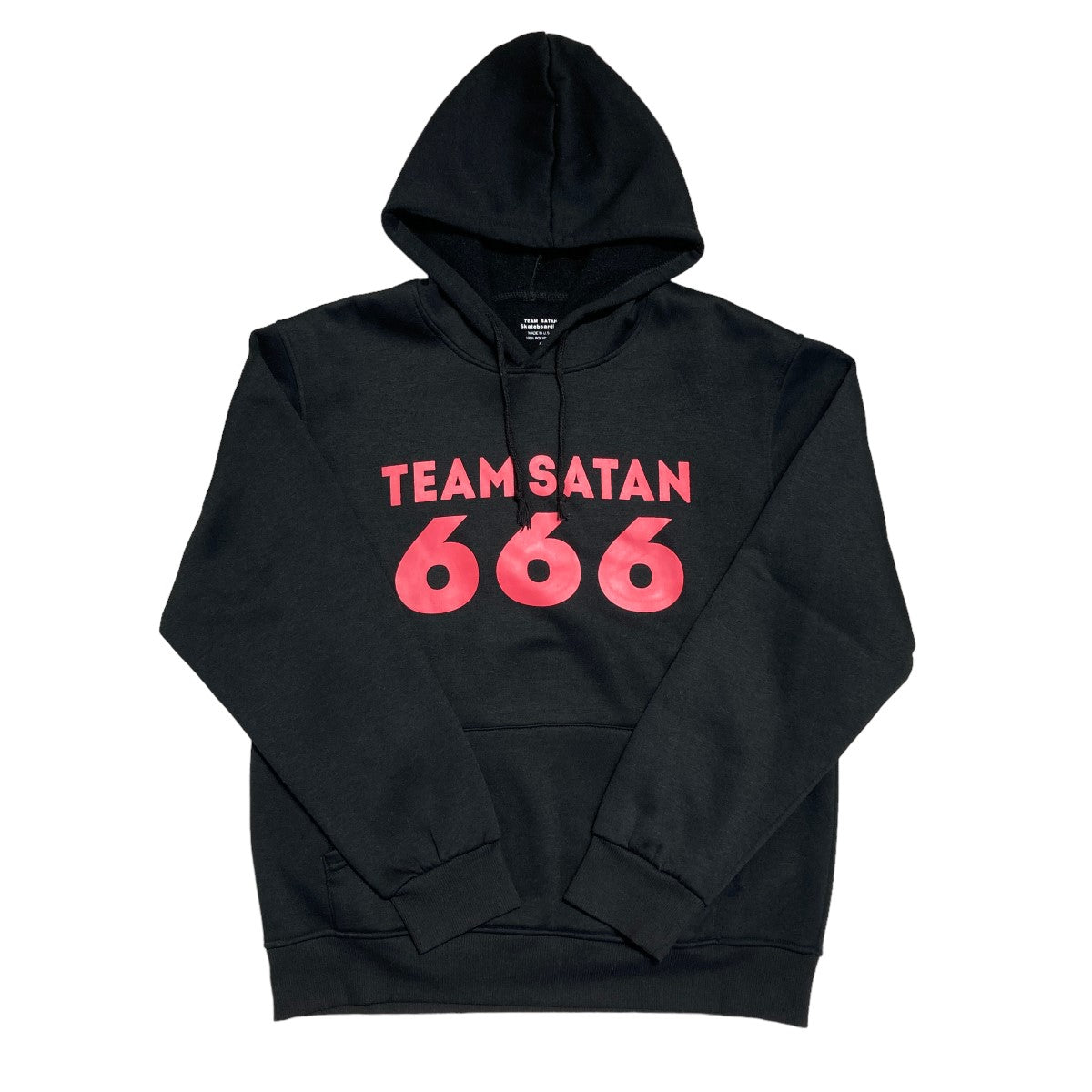 TEAM SATAN SKATEBOARDING(チームサタン スケートボーディング) EAM SATAN 666 PULLOVER H  プリントパーカー ブラック サイズ L｜【公式】カインドオルオンライン ブランド古着・中古通販【kindal】