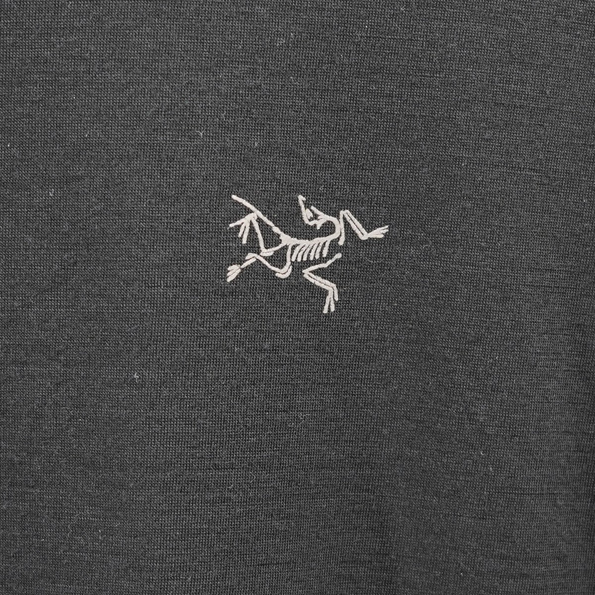 ARC'TERYX(アークテリクス) Ionia Merino Wool SS M メリノ