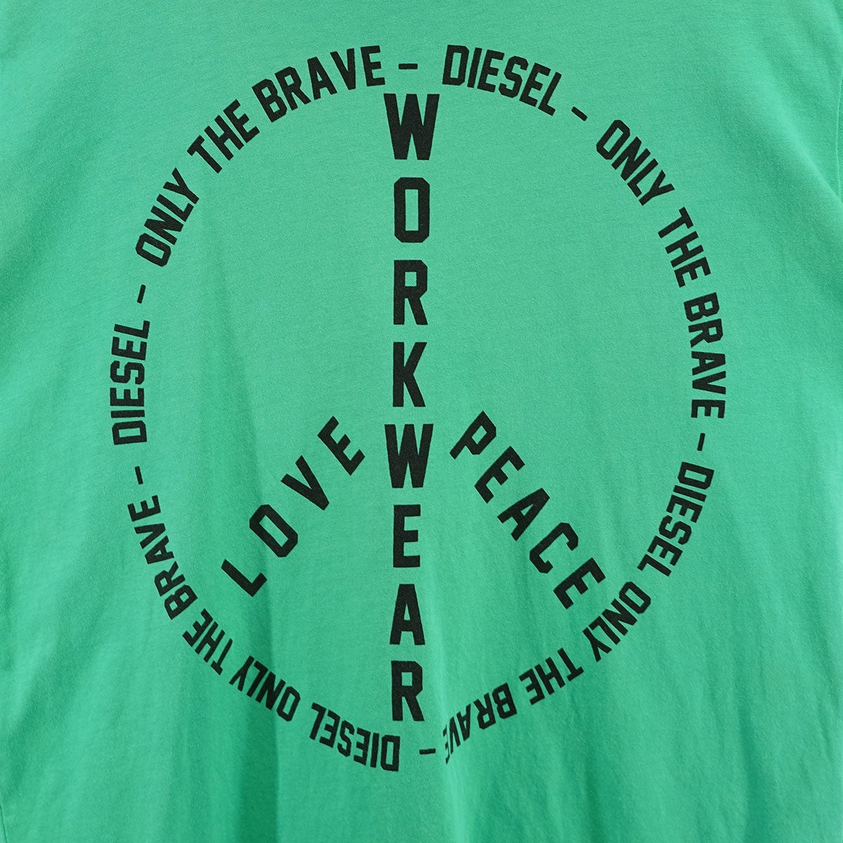 DIESEL(ディーゼル) S ALBY COPY J1プルオーバーパーカー00SH9M