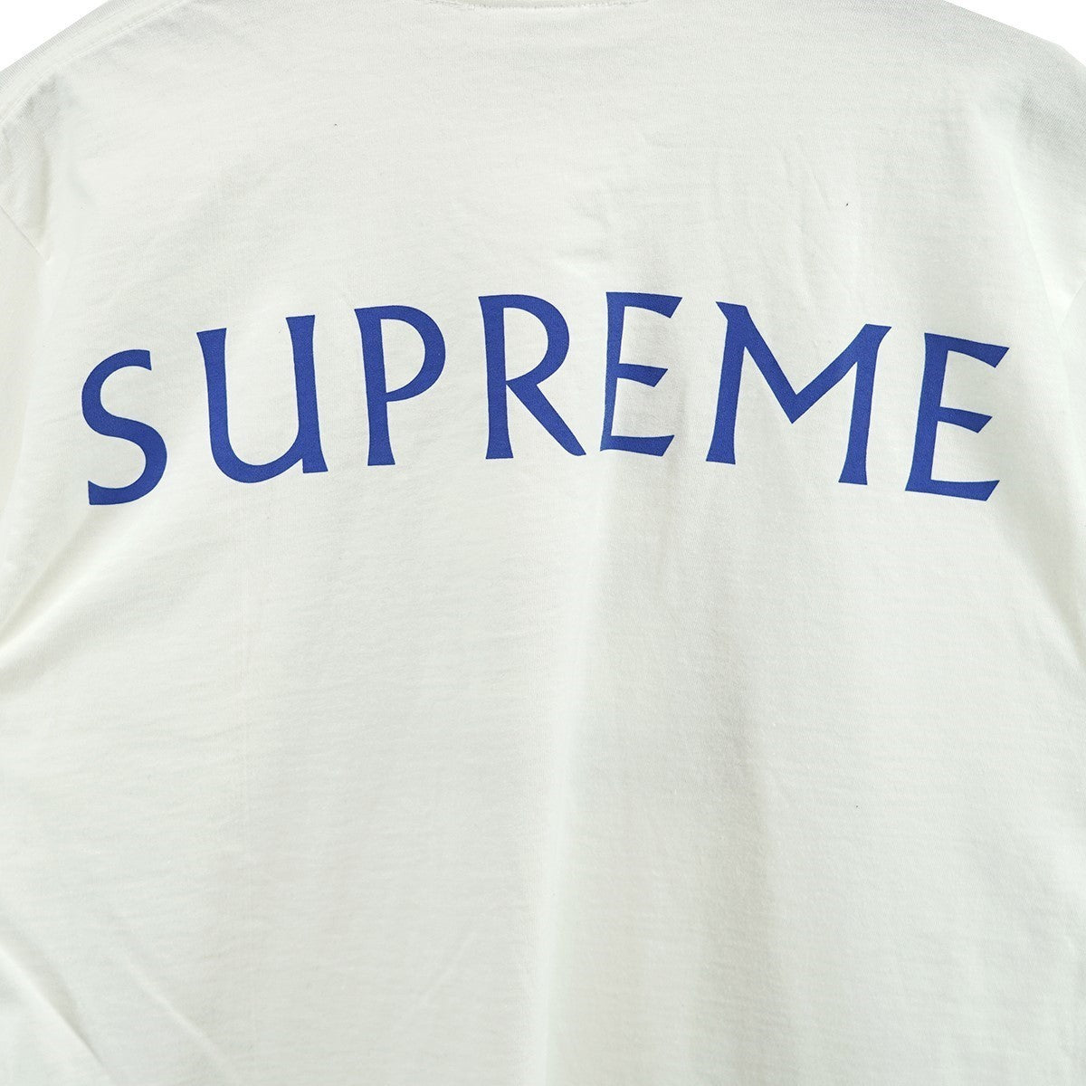 Supreme 25SS Damien Hirst Teeバックロゴ フォト ダミアンハースト Tシャツ 古着・中古-4枚目のアイテム画像