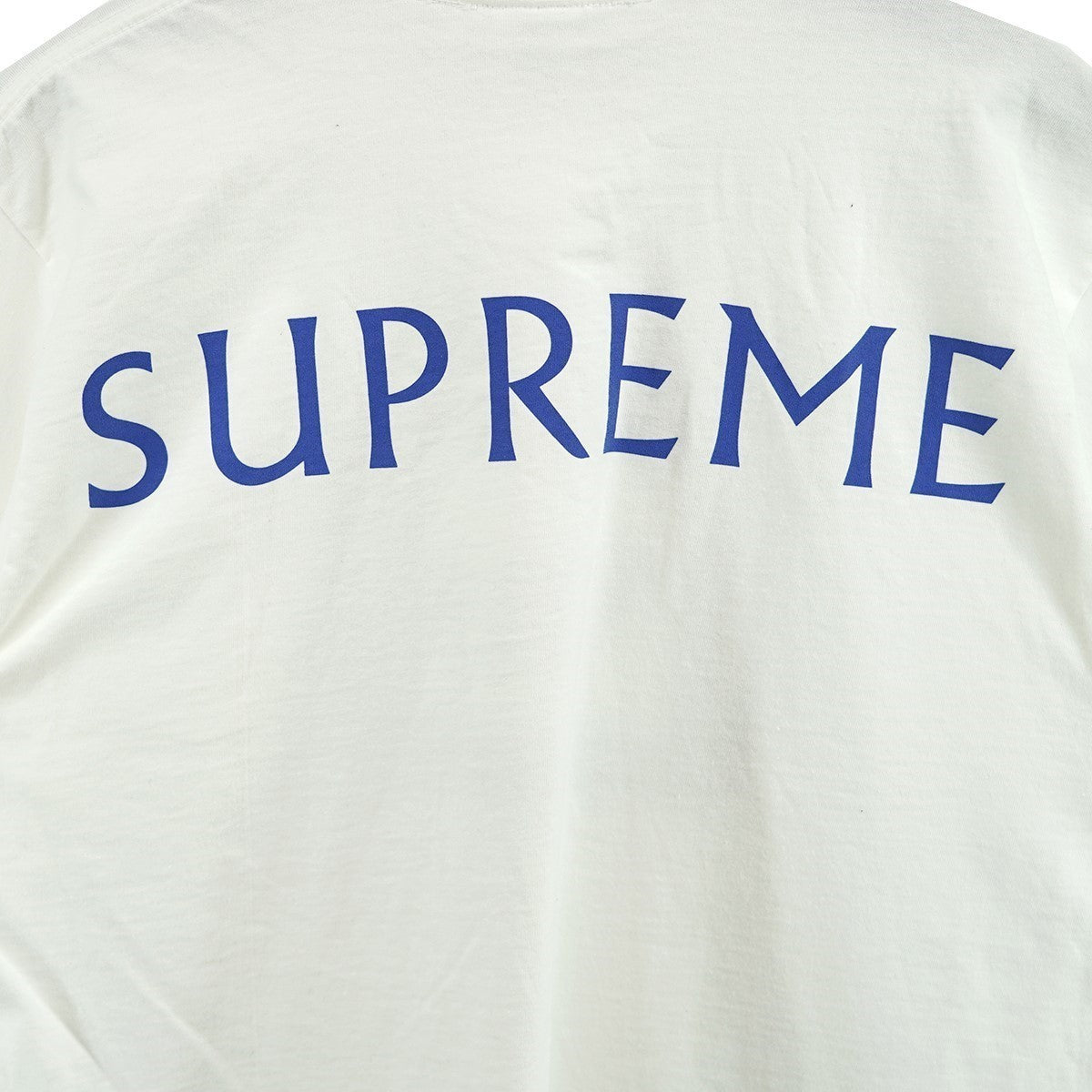 25SS Damien Hirst Teeバックロゴ フォト ダミアンハースト Tシャツ