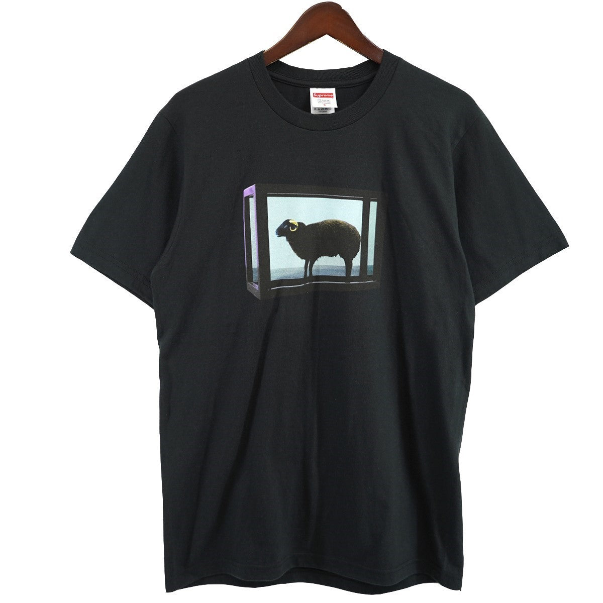 Supreme 25SS Damien Hirst Teeバックロゴ フォト ダミアンハースト Tシャツ 古着・中古-1枚目のアイテム画像
