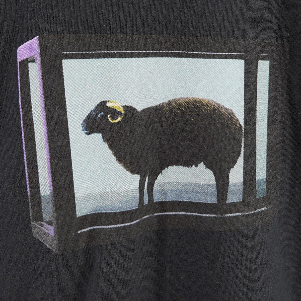 Supreme 25SS Damien Hirst Teeバックロゴ フォト ダミアンハースト Tシャツ 古着・中古-4枚目のアイテム画像