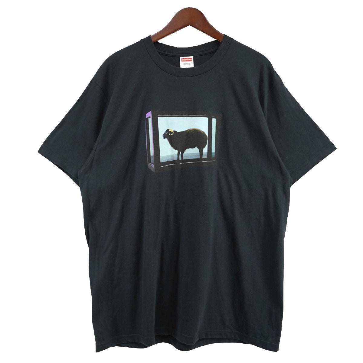 Supreme(シュプリーム) 25SS Damien Hirst Teeバックロゴ フォト
