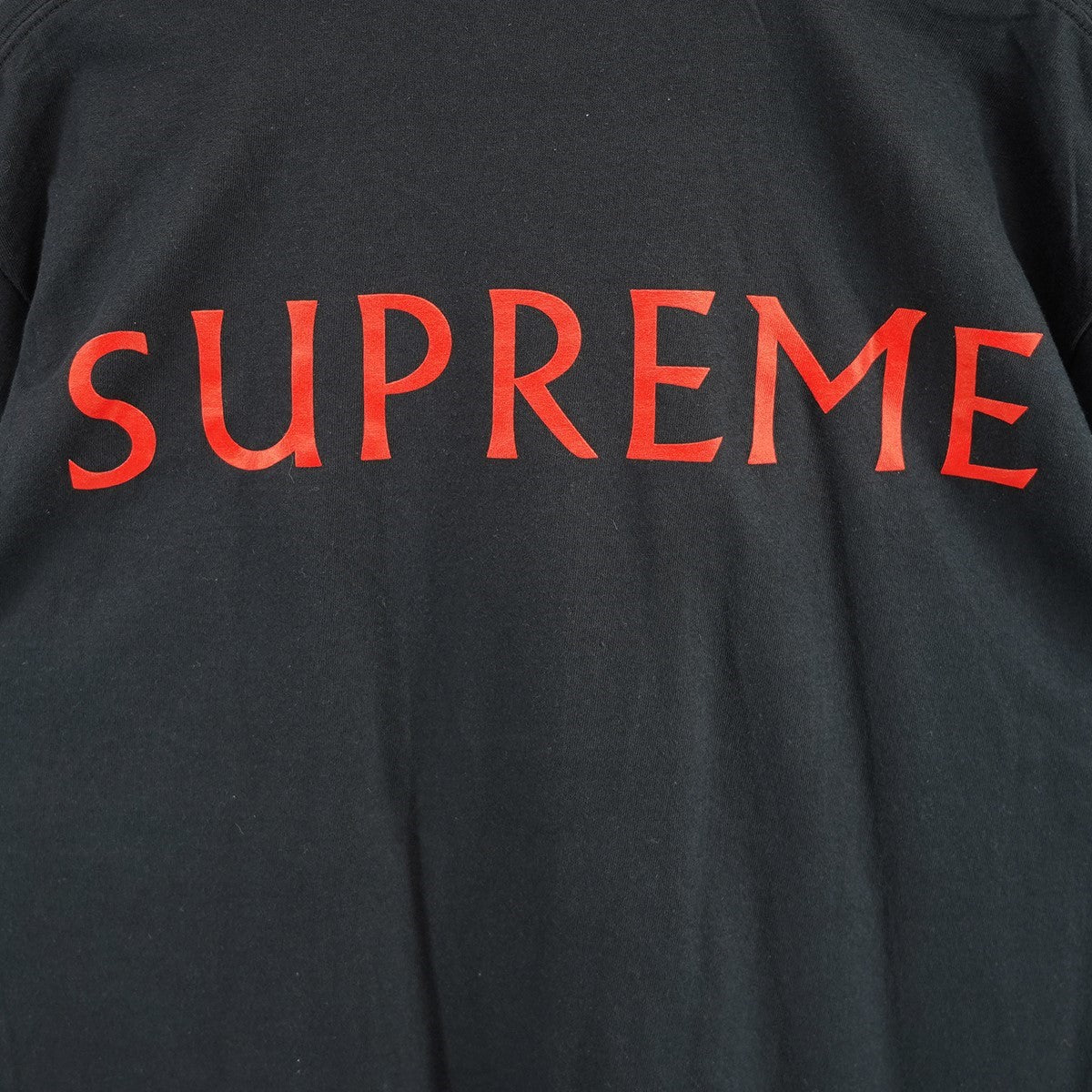 Supreme(シュプリーム) 25SS Damien Hirst Teeバックロゴ フォト