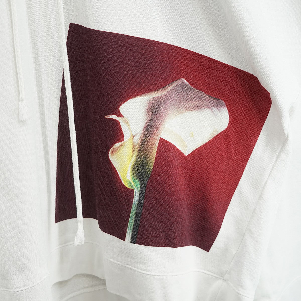 RAF SIMONS(ラフシモンズ) 17SS ROBERT MAPPLETHORPE ロバート