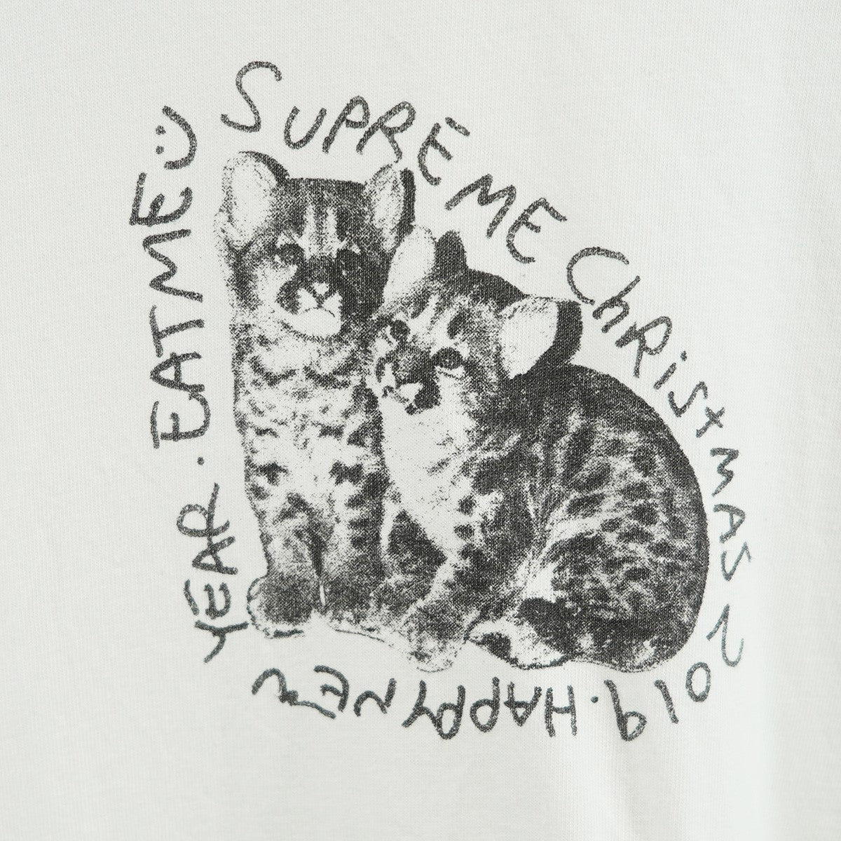 Supreme 19SS Eat Me Tee イートミー Cat キャット ネコ ロゴ Tシャツ 古着・中古-2枚目のアイテム画像