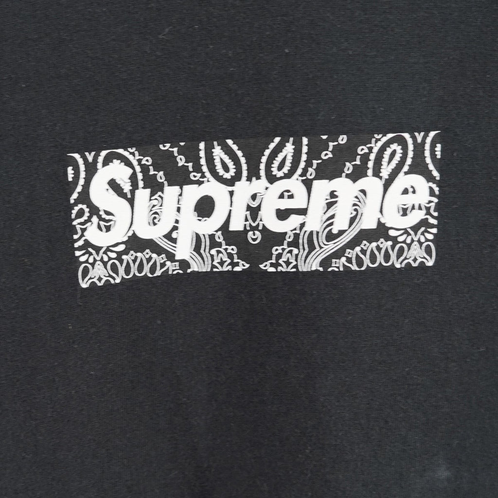 Supreme(シュプリーム) 19AW Bandana Box Logo Teeバンダナ ボックス 