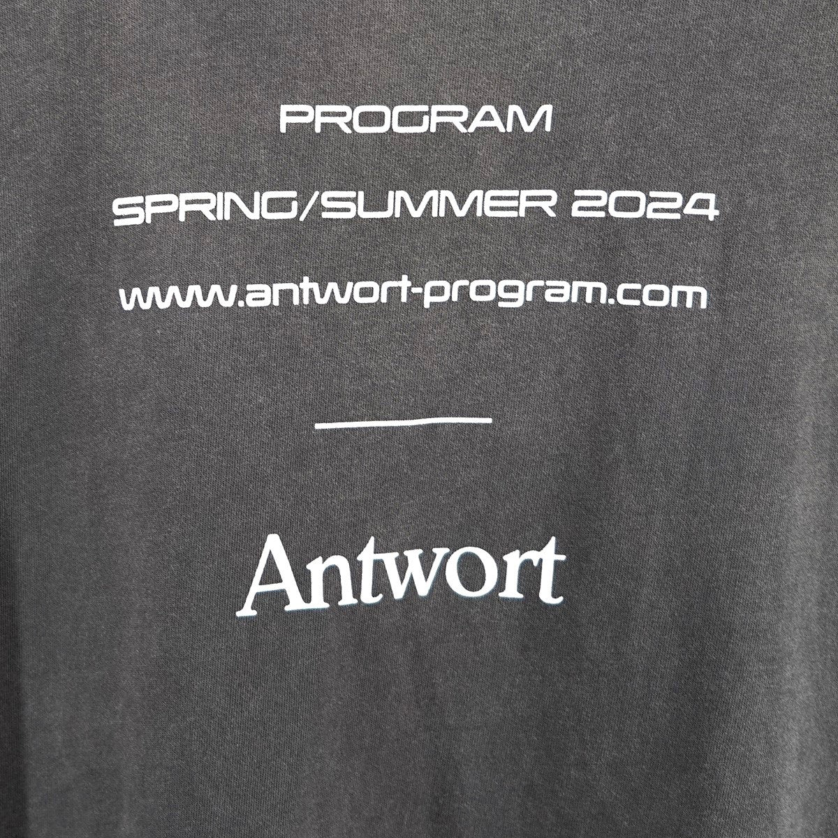 Antwort 24SS SS PROMOTION TEE - FADE BLACKバックロゴ エスエス プロモーション フェード加工 オーバーサイズ Tシャツ 古着・中古-2枚目のアイテム画像