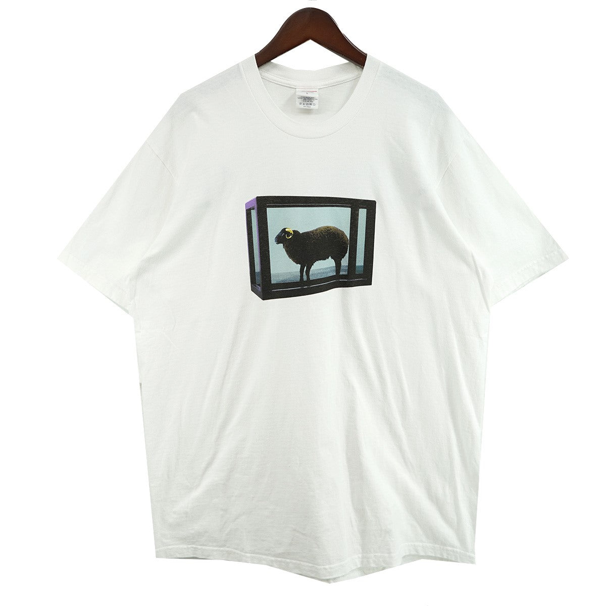 Supreme Damien Hirst Tee White Mサイズ 新品 Supreme(シュプリーム) 25SS Damien Hirst Teeバックロゴ フォト