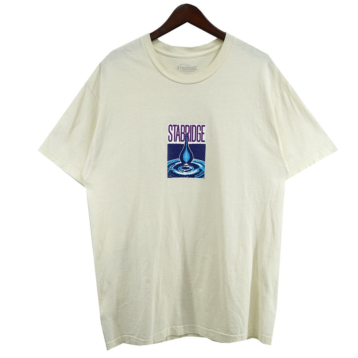 STABRIDGE the Apartment STABRIDGE Hydration Tee the apartment ロゴ Tシャツ 古着・中古-1枚目のアイテム画像
