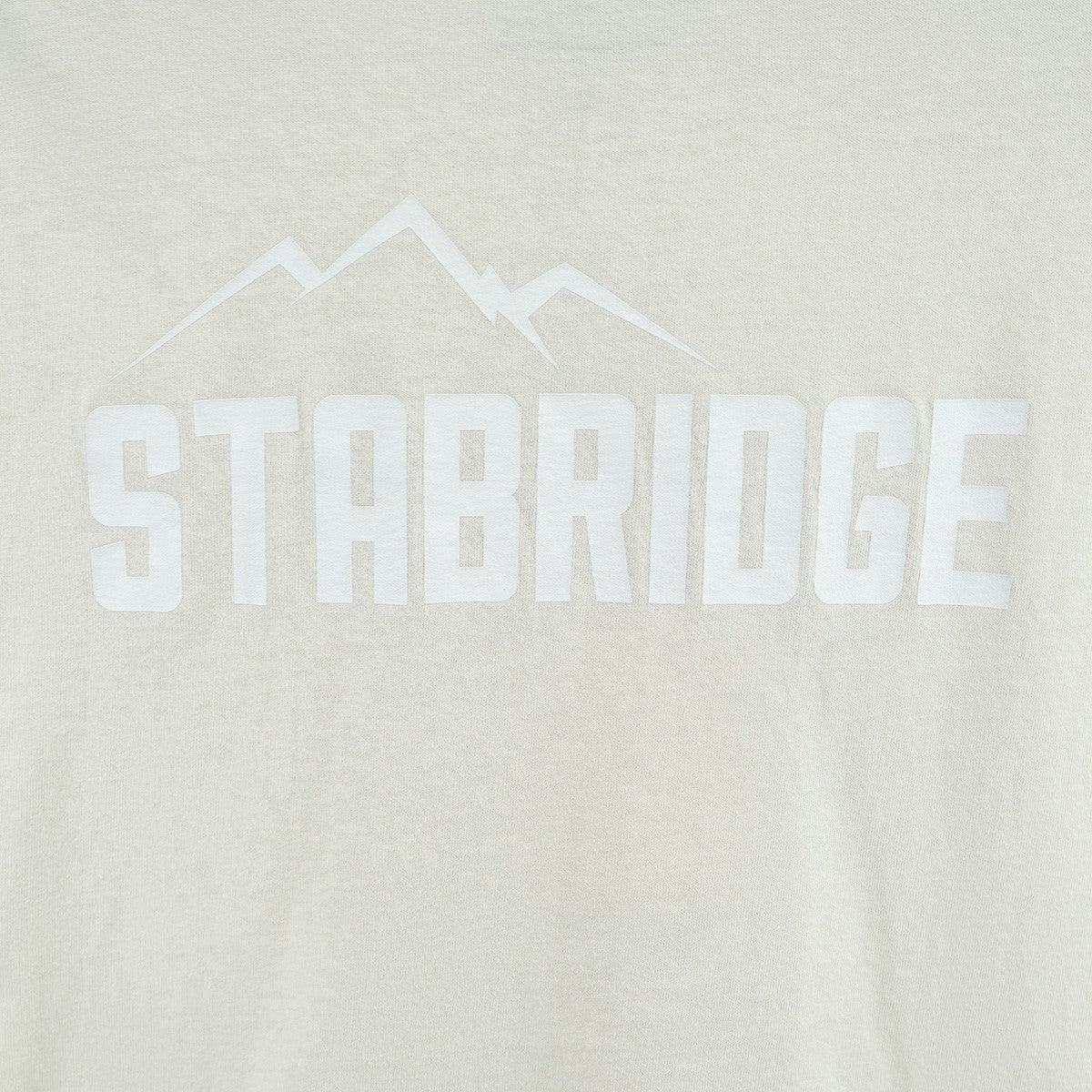 STABRIDGE the Apartment STABRIDGE Hydration Tee the apartment ロゴ Tシャツ 古着・中古-4枚目のアイテム画像