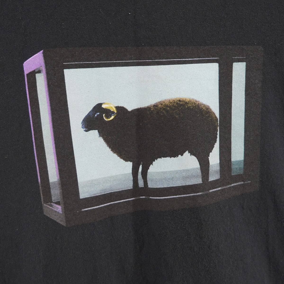 Supreme(シュプリーム) 25SS Damien Hirst Teeバックロゴ フォト