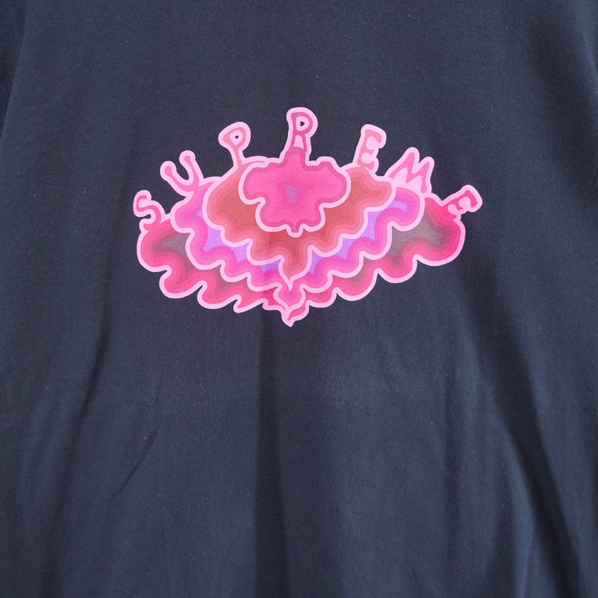 Supreme(シュプリーム) 19SS Cloud Tee ロゴ クラウド Tシャツ