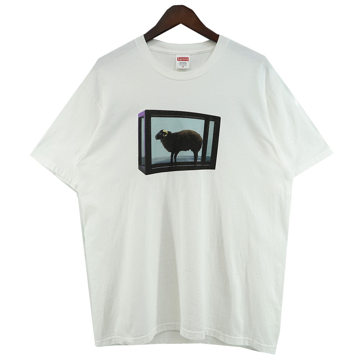 25SS Damien Hirst Teeバックロゴ フォト ダミアンハースト Tシャツ