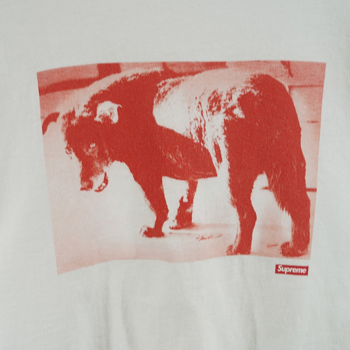 Supreme(シュプリーム) 22SS Daido Moriyama Dog Tee森山大道 ダイドー