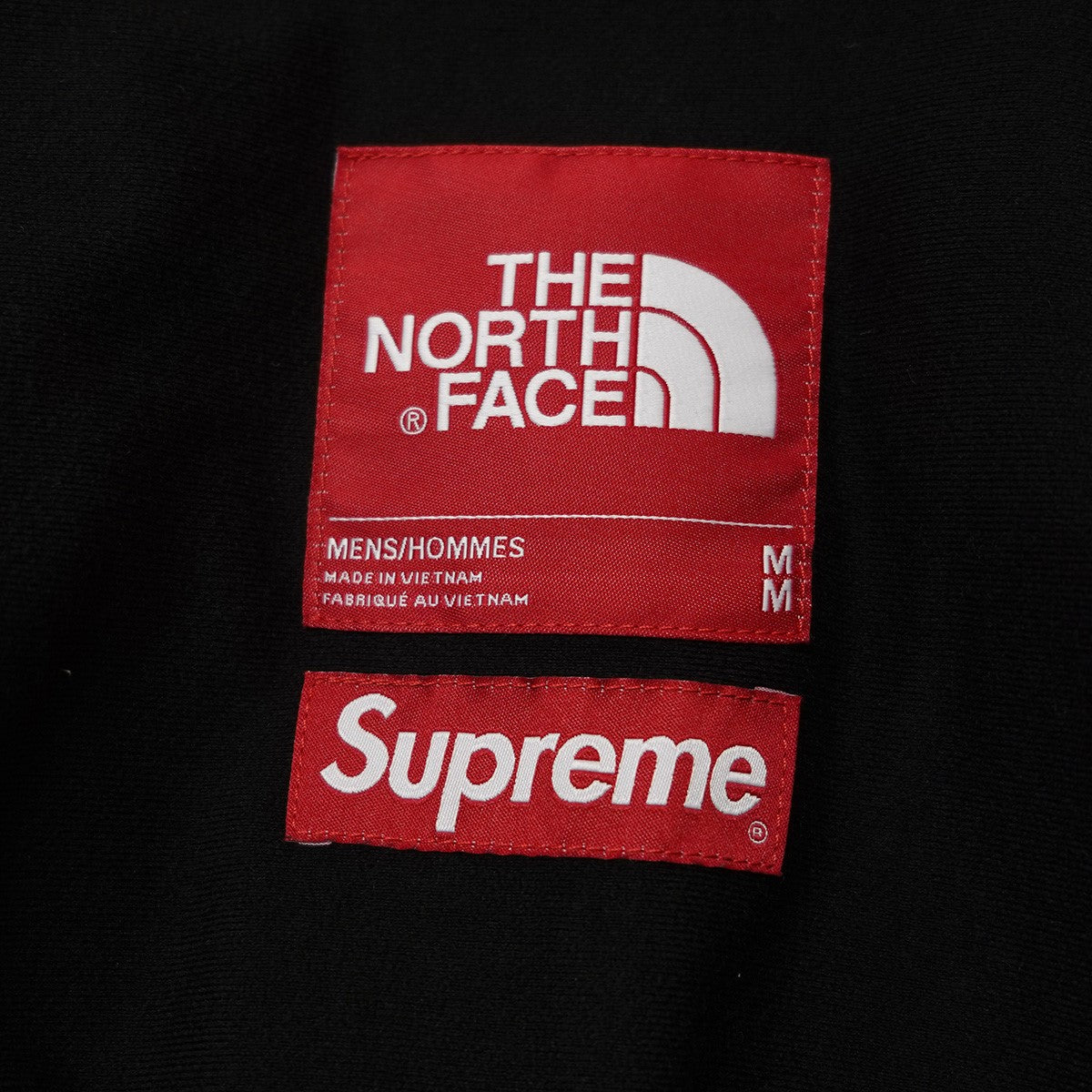 Supreme×THE NORTH FACE 17AW Mountain Parka ロゴ雪山マウンテン