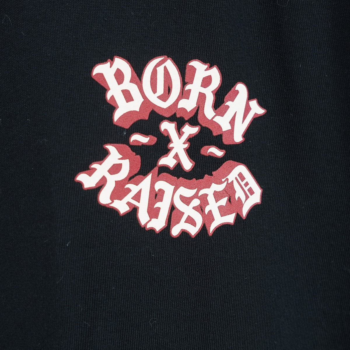 BORN X RAISED 25SS BORN X RAISED + LOONEY TUNES ROCKER TEEルーニーチューンズ ロゴ Tシャツ 古着・中古-4枚目のアイテム画像
