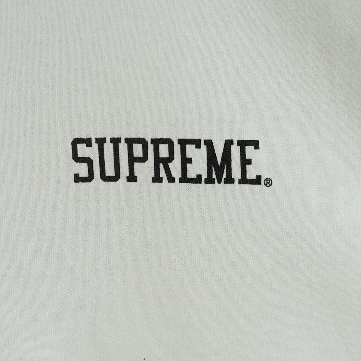 Supreme 25AW Dash Snow Tee ダッシュ スノー ロゴ グラフィック Tシャツ 古着・中古-4枚目のアイテム画像
