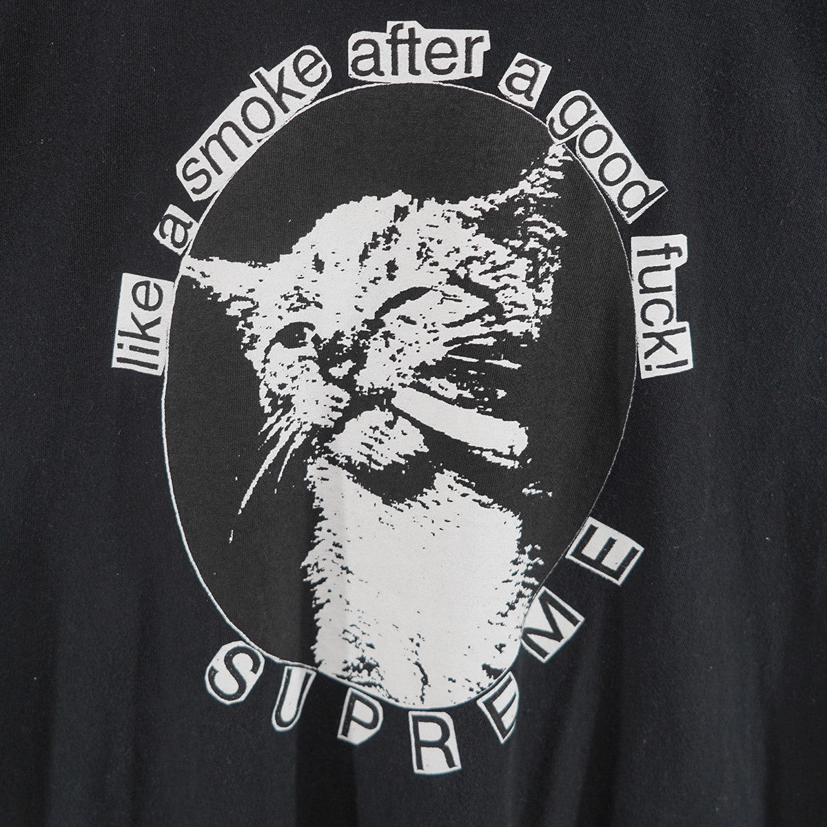 Supreme(シュプリーム) 23SS Smoke Tee ロゴ スモーク キャット T