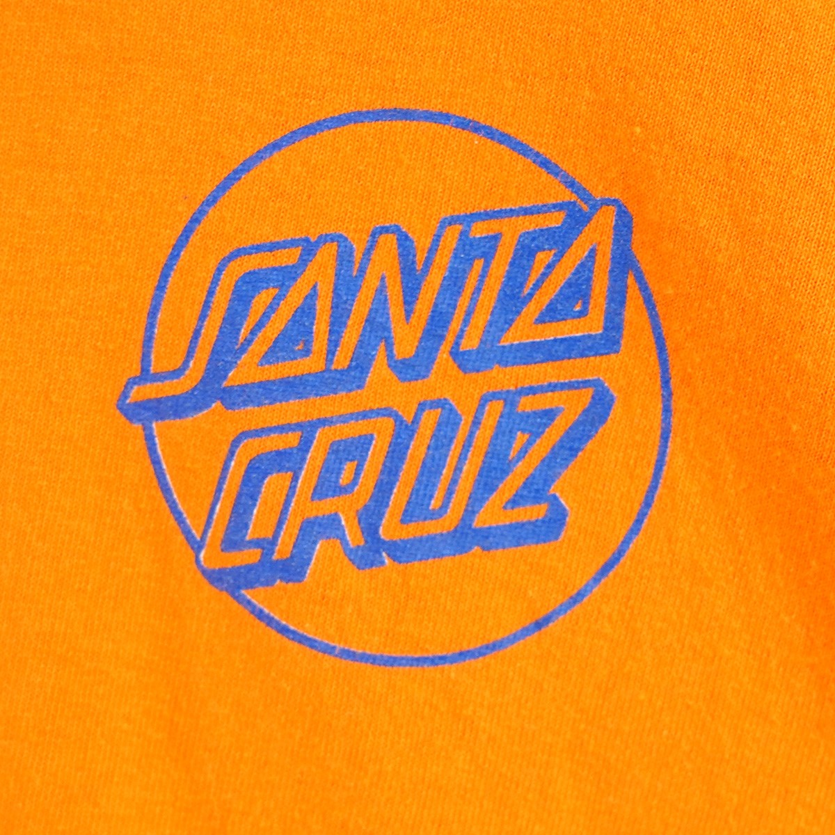 SANTA CRUZ 00s Old NHSタグ ロゴ ロングスリーブ 長袖 Tシャツ ロンT 古着・中古-2枚目のアイテム画像
