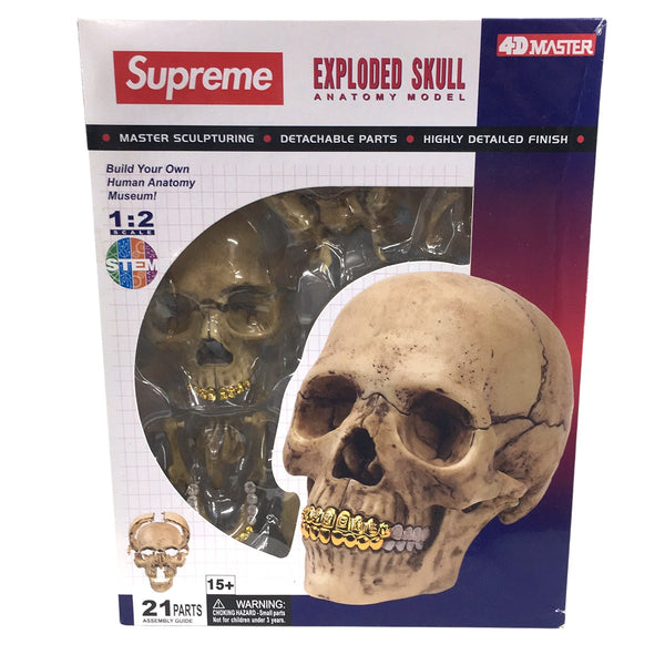 Supreme Model Human Skull スカルパズル　ヒューマン Supreme(シュプリーム) 24AW 4D Master Exploded Skull Anatomy