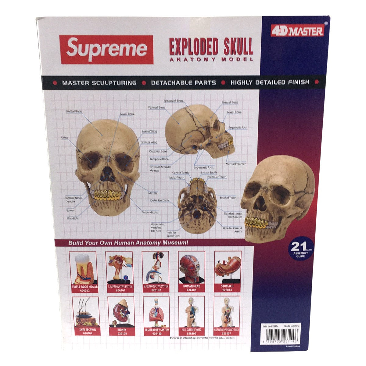 Supreme(シュプリーム) 24AW 4D Master Exploded Skull Anatomy