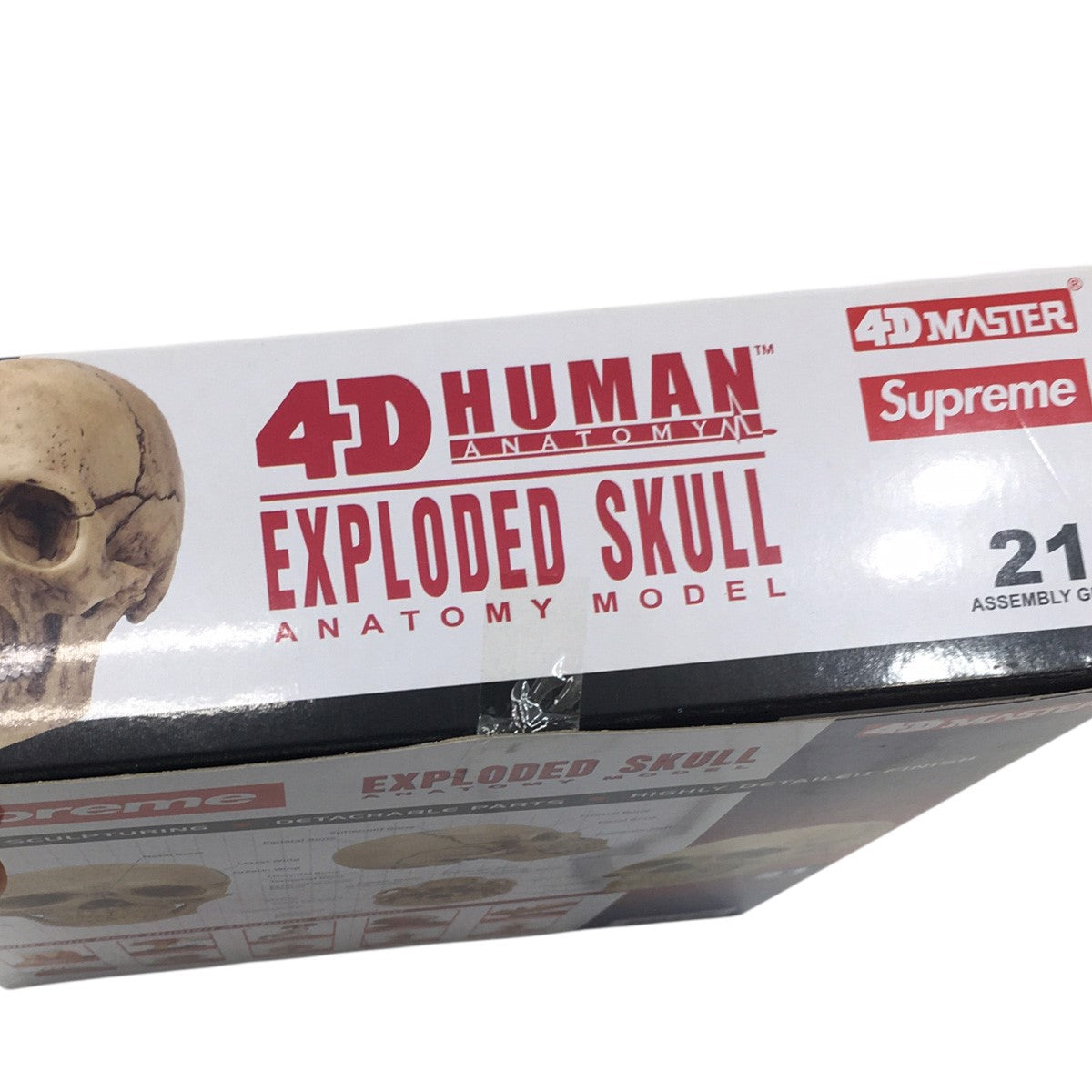 24AW 4D Master Exploded Skull Anatomy Model4D モデル ヒューマン スカル 立体パズル