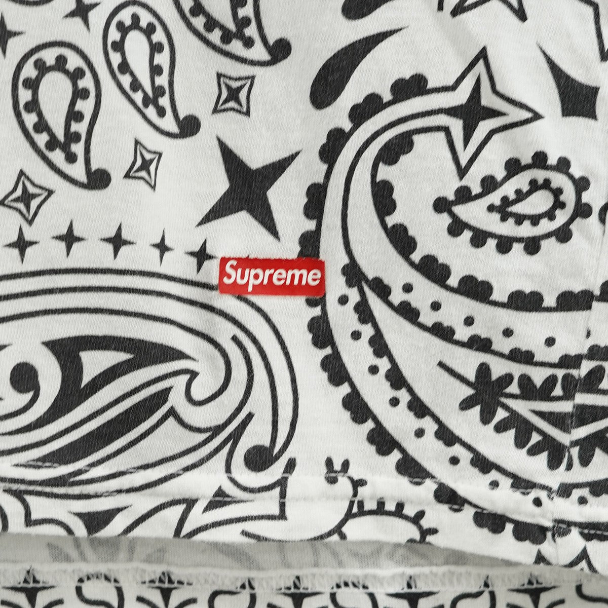 22AW Bandana Tagless Teeバンダナ ロゴ タグレス Tシャツ