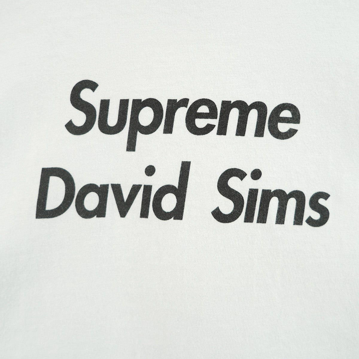 15AW David Sims Tee 非売品限定アイテムプロモ デヴィッド シムズ スケート グラフィック ロゴ バックプリント Tシャツ