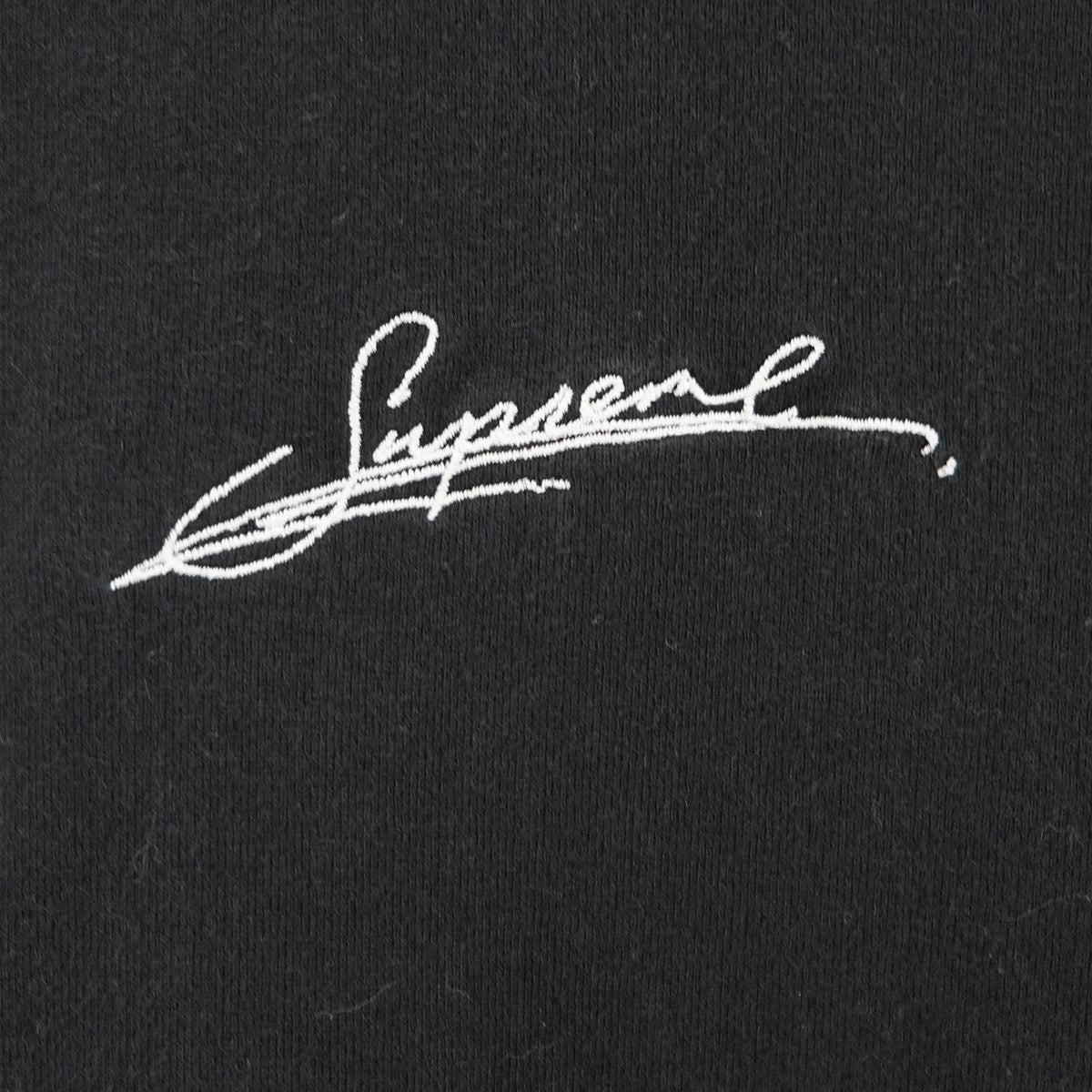 20SS Signature S／S Top シグネチャー ロゴ エスエス トップ Tシャツ