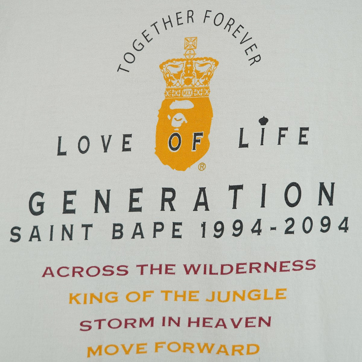 SAINT MICHAEL×A BATHING APE 25AW A BATHING APER SS TEE GENERATION